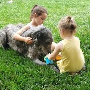 Meet your Posher, Shannon